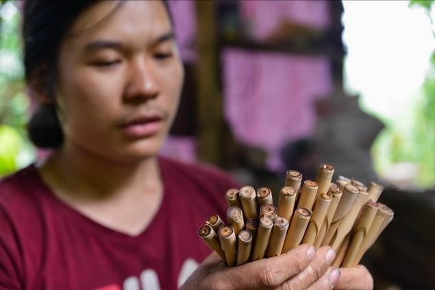 bảo vệ môi trường, ống hút giấy ảnh 3 bao ve moi truong, ong hut giay anh 3