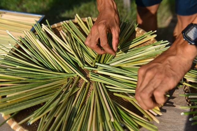 bảo vệ môi trường, ống hút giấy ảnh 4 bao ve moi truong, ong hut giay anh 4