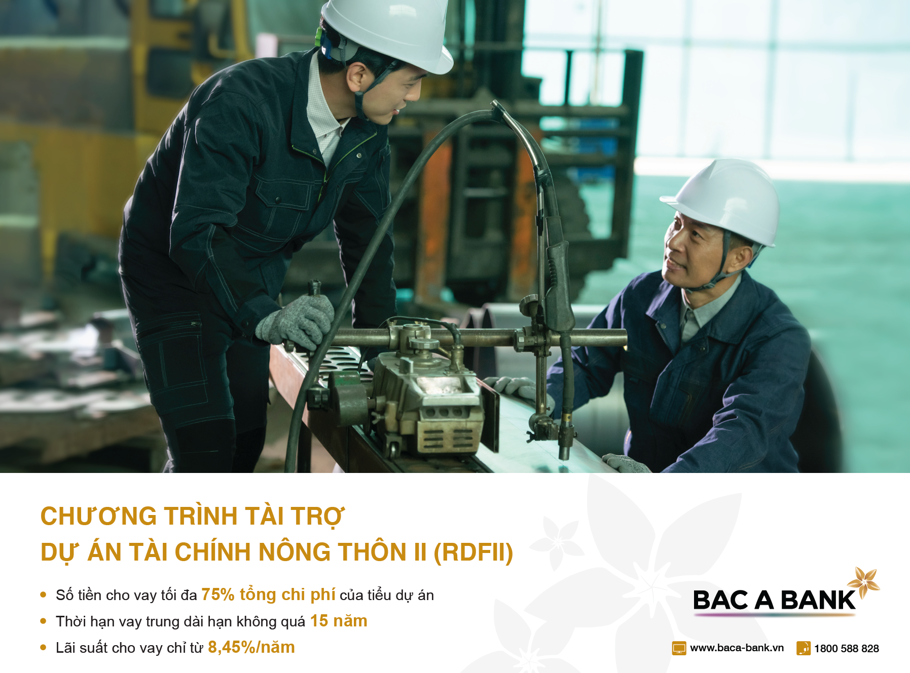 du an RDFII,  Tai chinh nong thon II anh 1