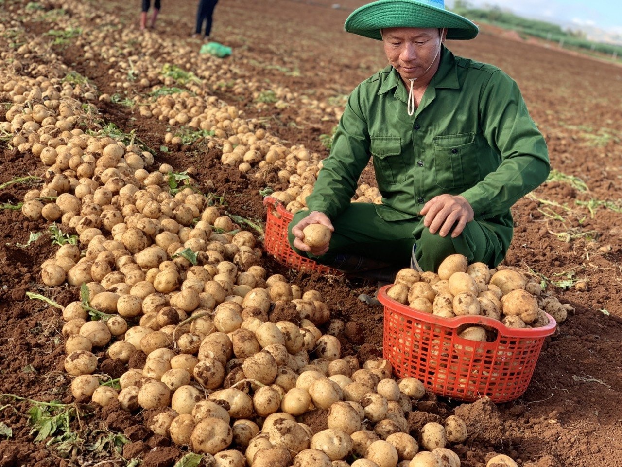 Orion ảnh 1 Orion anh 1