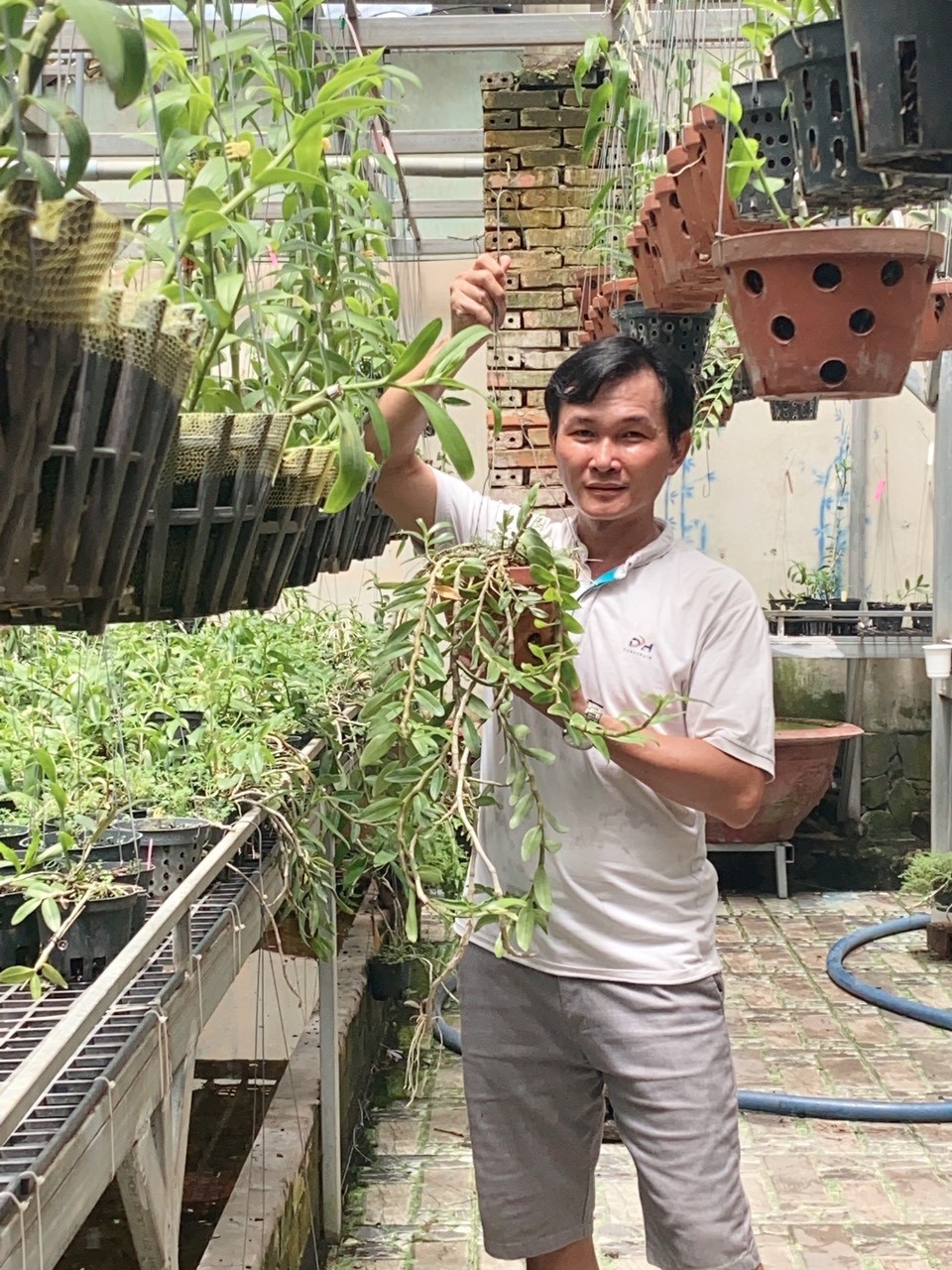 Hoa kiểng Thiên Kiều ảnh 1 Hoa kieng Thien Kieu anh 1