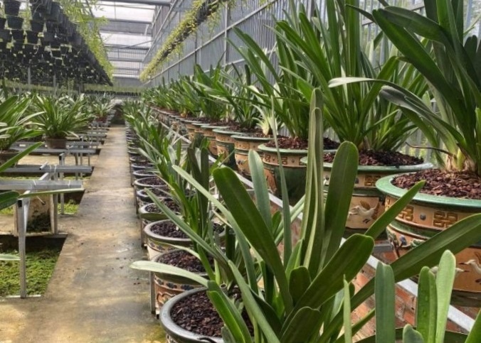 Nhung kien thuc co ban khi cham soc lan hinh anh