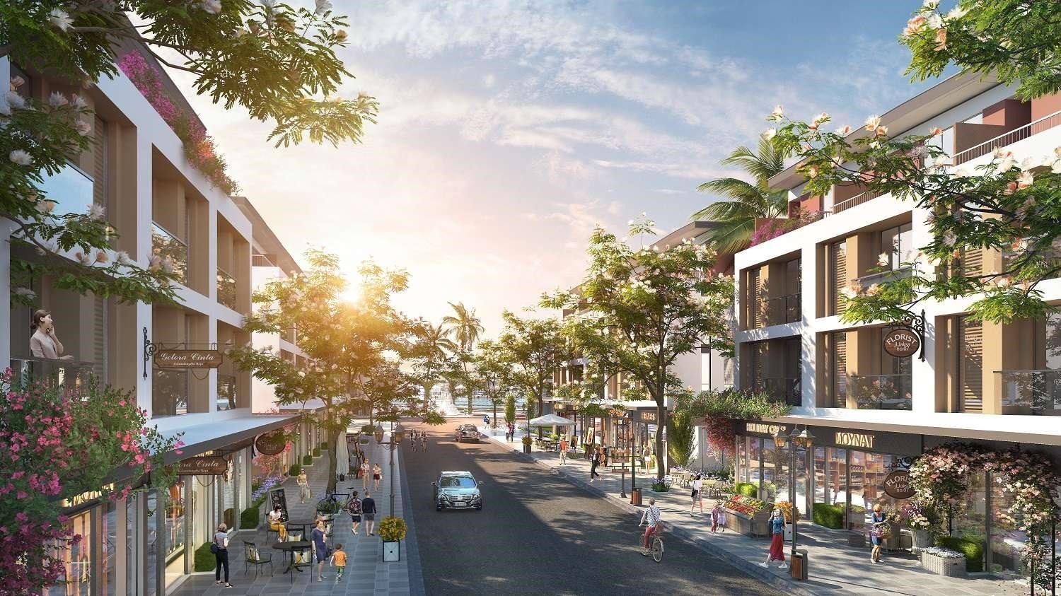 TMS Homes Wonder World anh 2