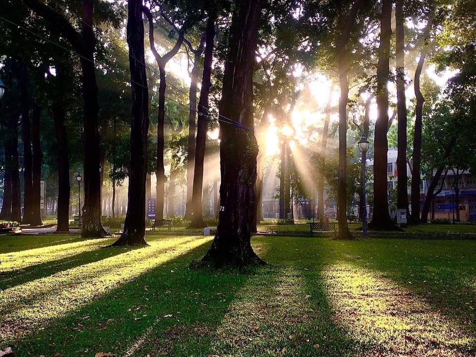 Sài Gòn ngày vắng ảnh 1 Sai Gon ngay vang anh 1