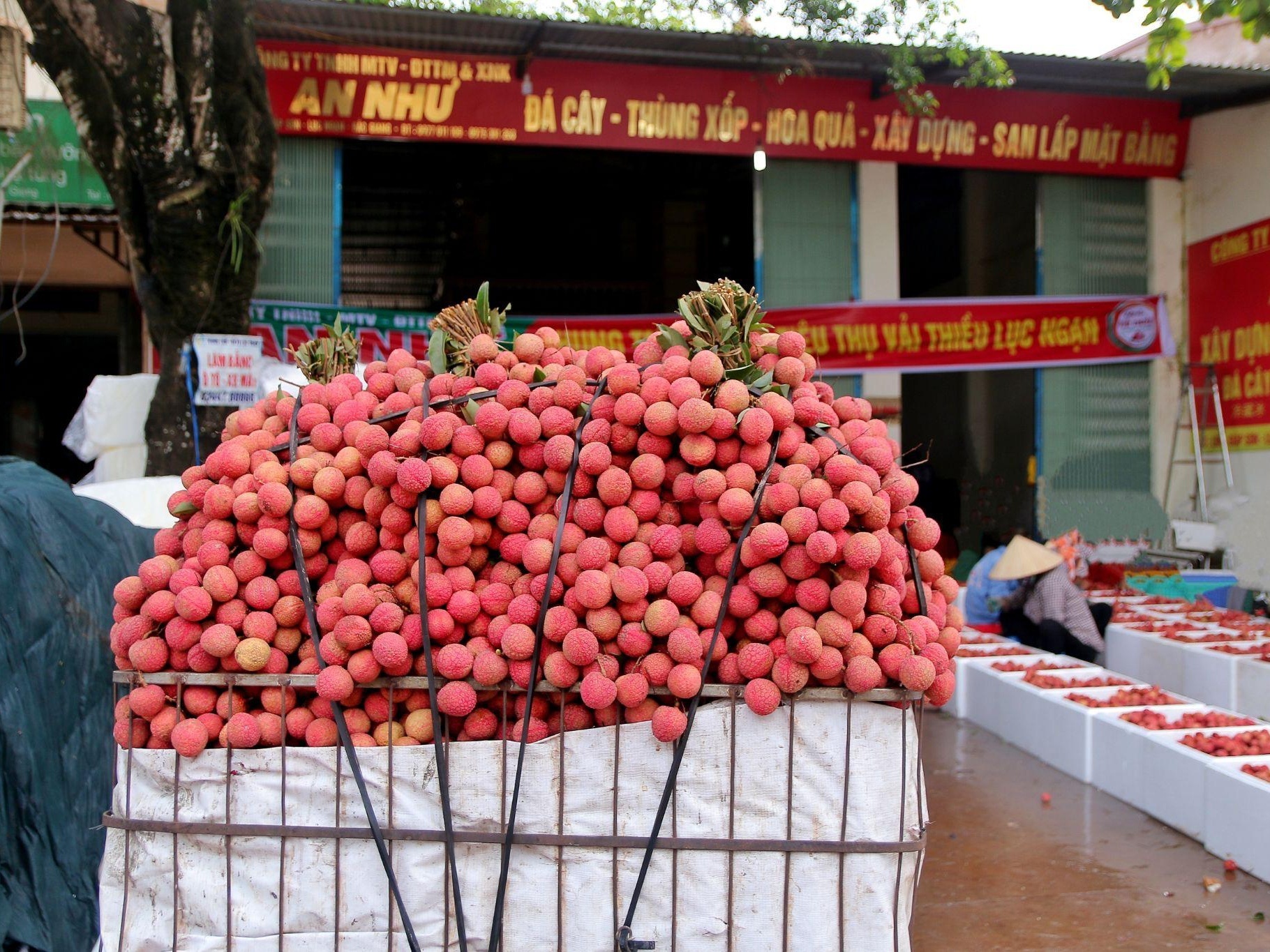 Thanh qua mot thang 'len app' cua vai thieu Bac Giang hinh anh