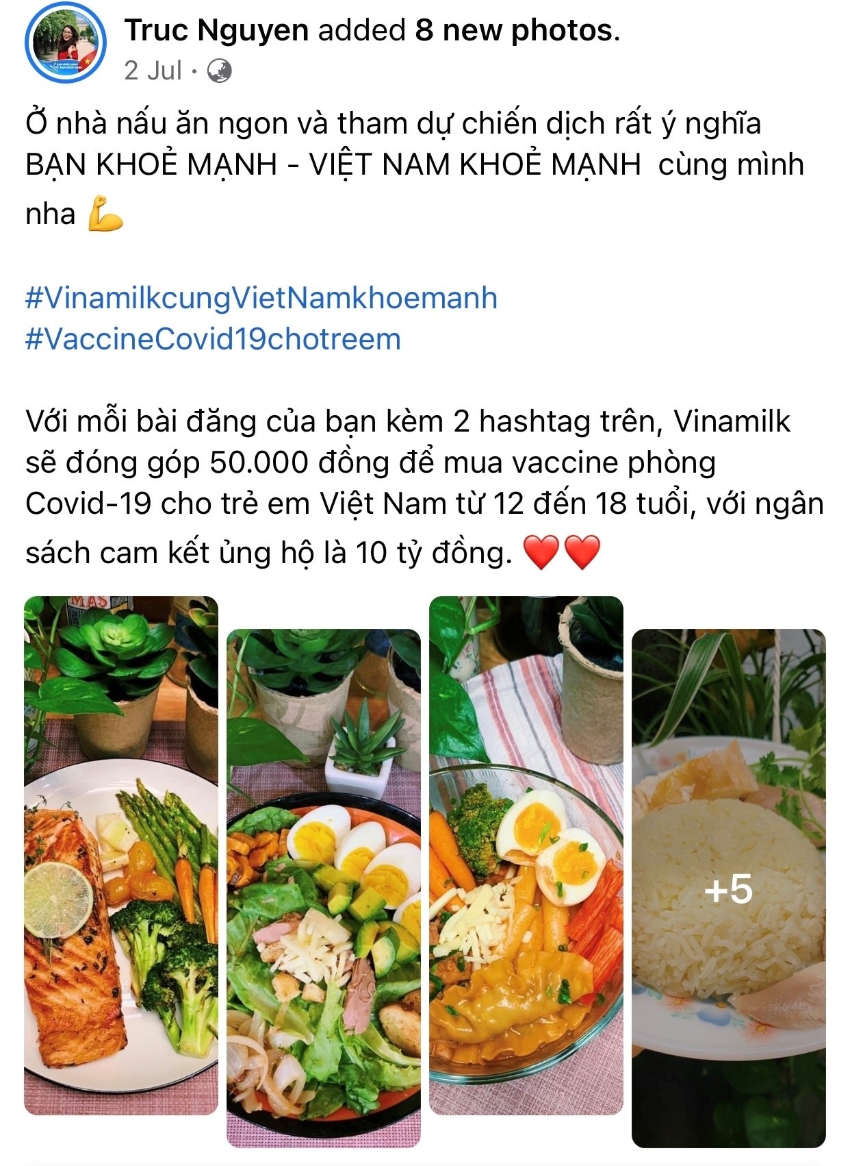 Vinamilk anh 2