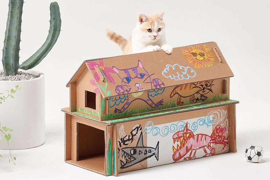 Lan toa tinh than song xanh voi cuoc thi tai che bao bi sinh thai hinh anh