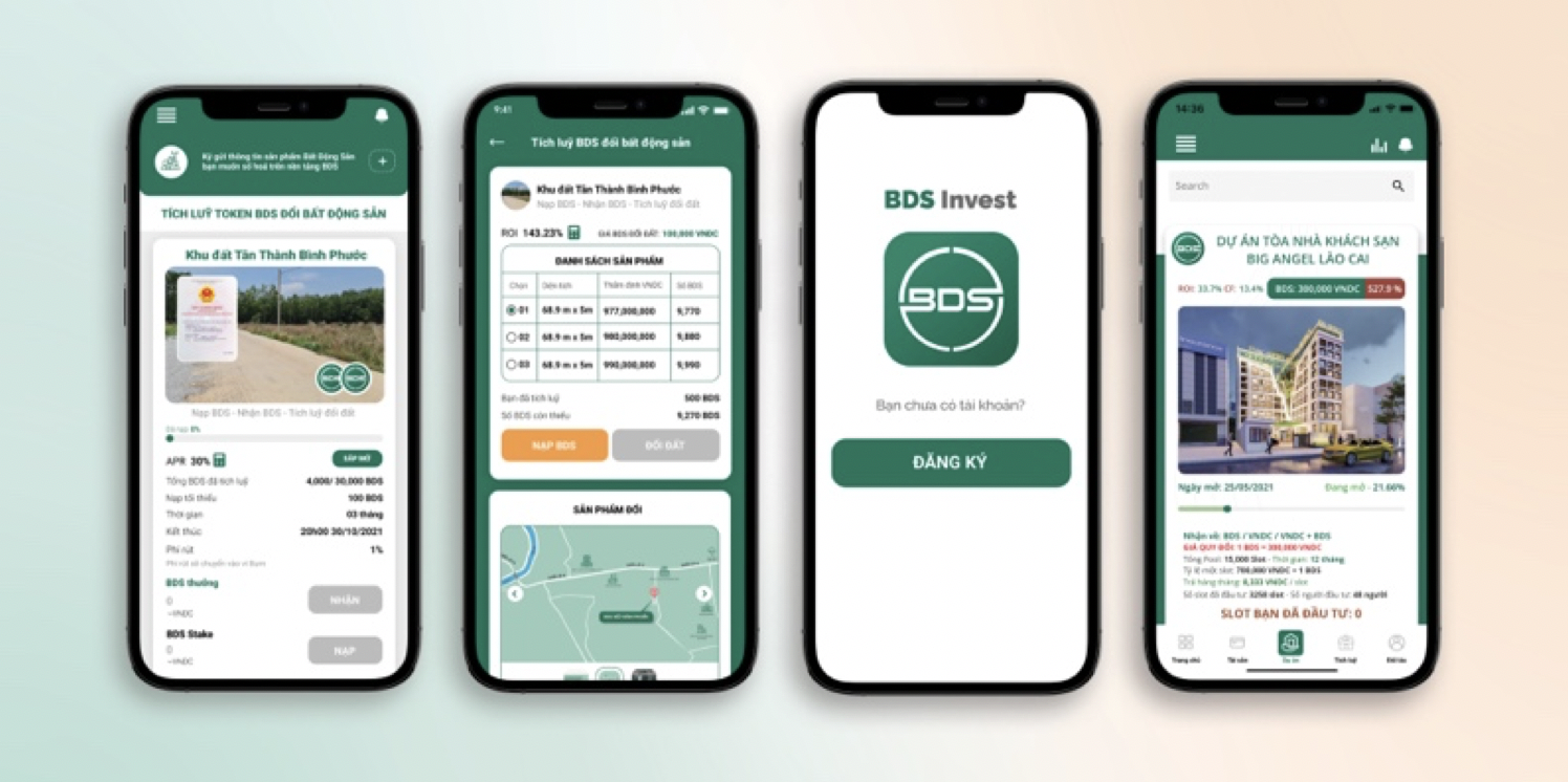 BDS Invest,  Big Group anh 3