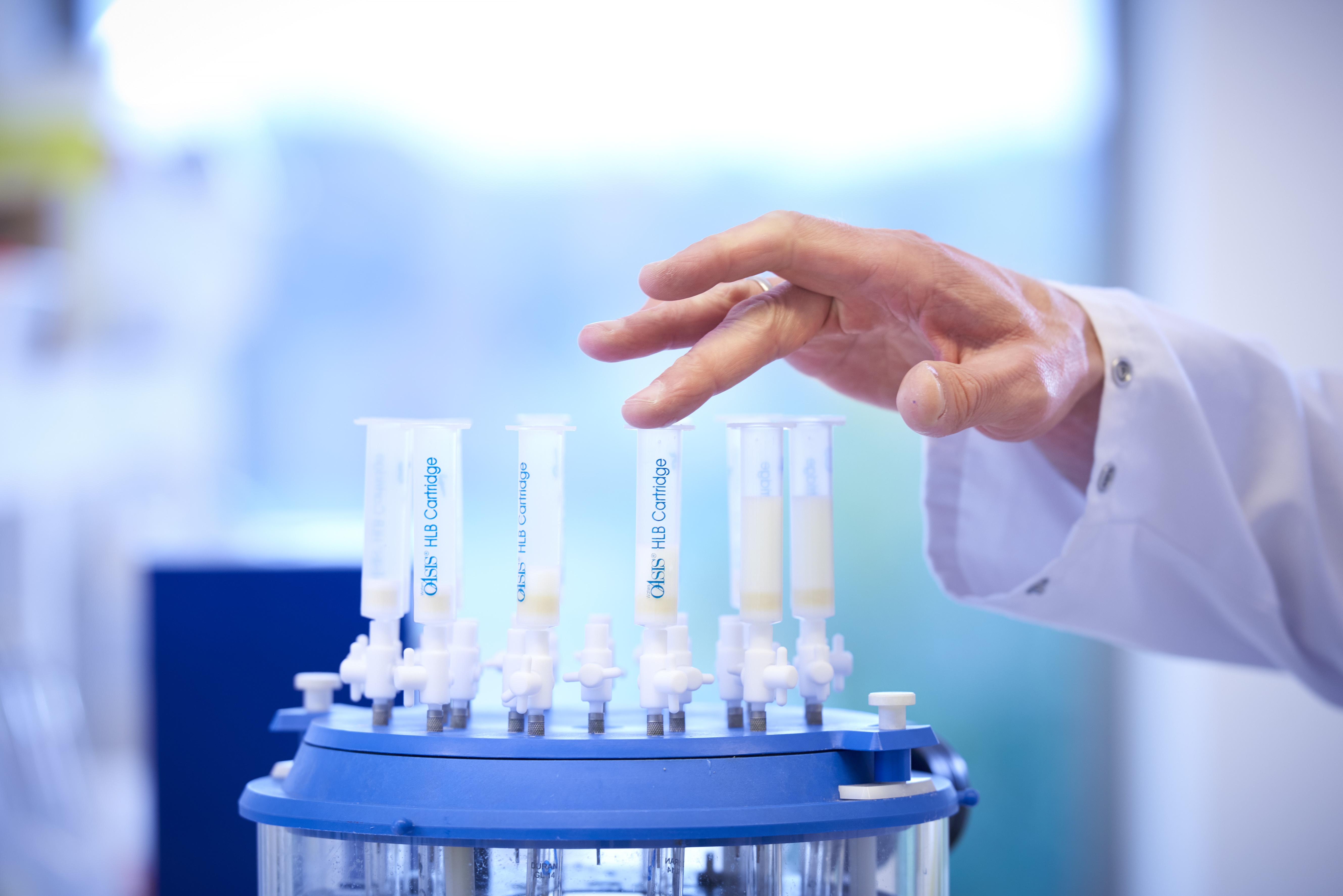 Friso,  trang trai Friso anh 16