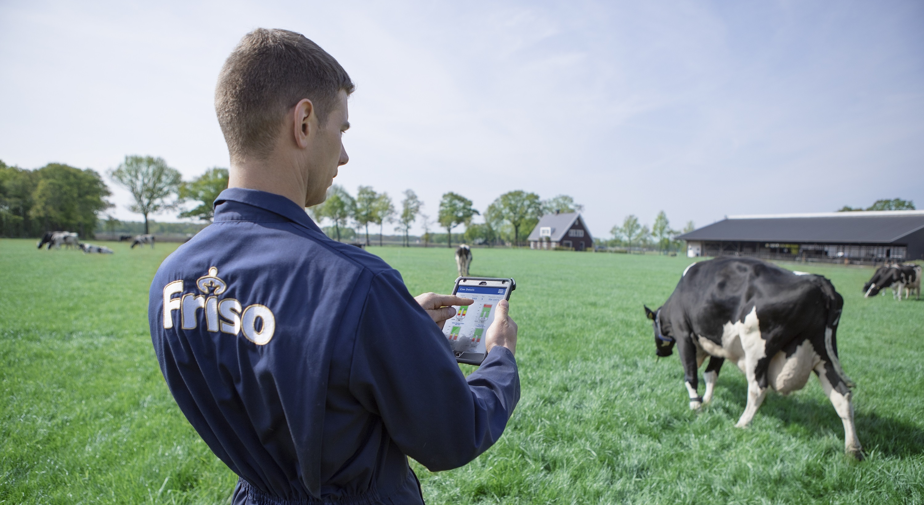 Friso,  trang trai Friso anh 9