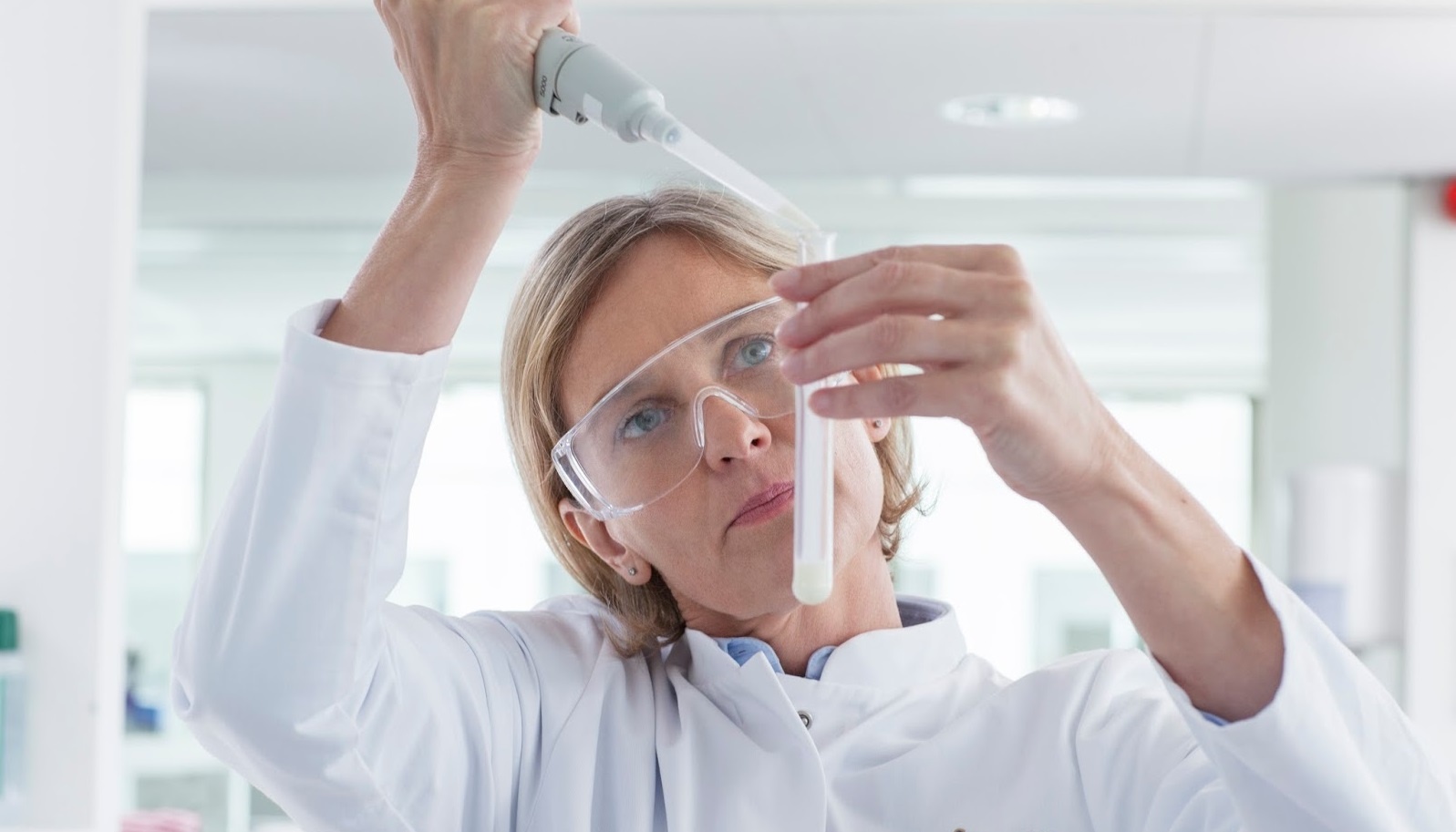 Friso,  trang trai Friso anh 15