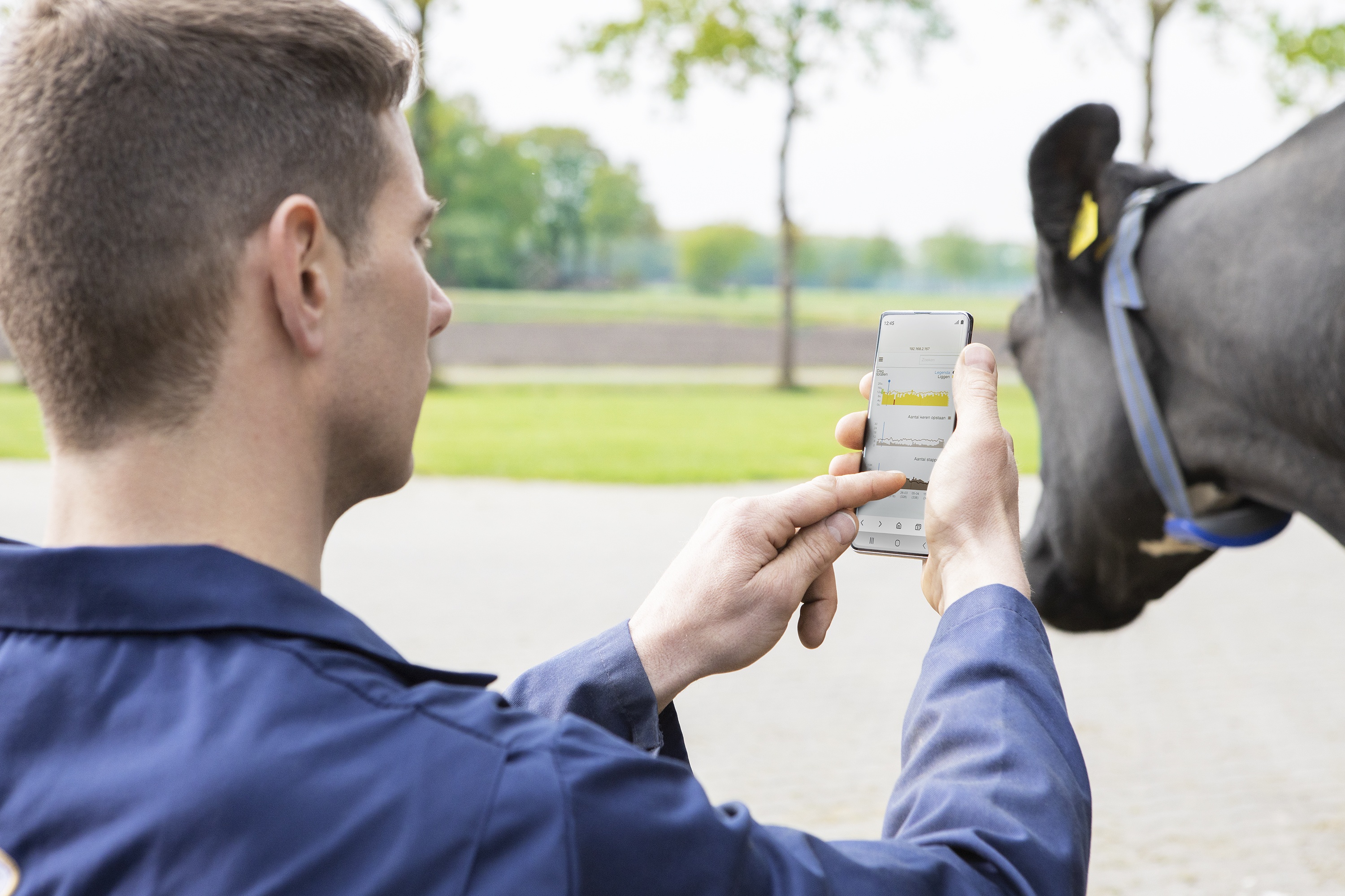 Friso,  trang trai Friso anh 2