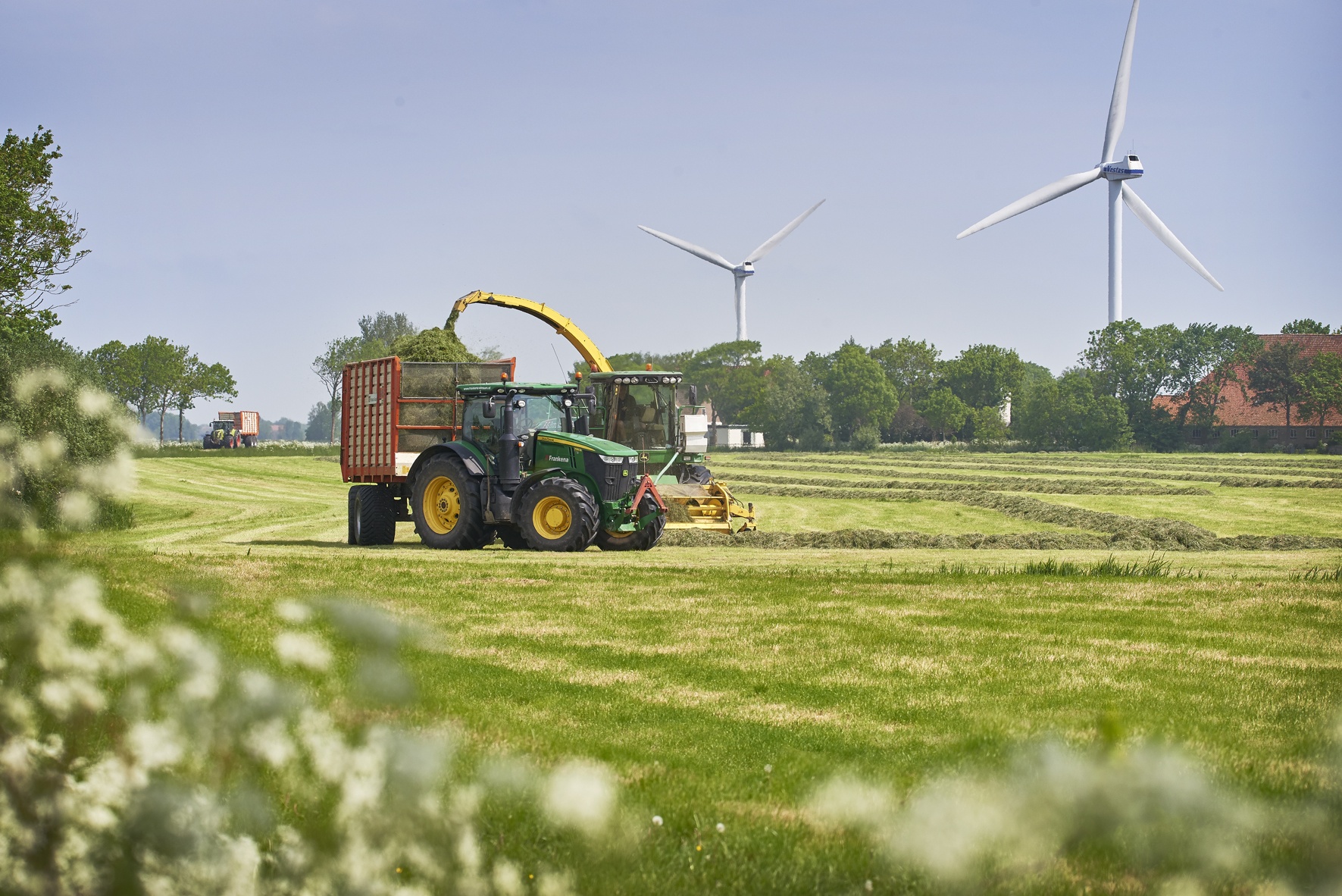 Friso,  trang trai Friso anh 7