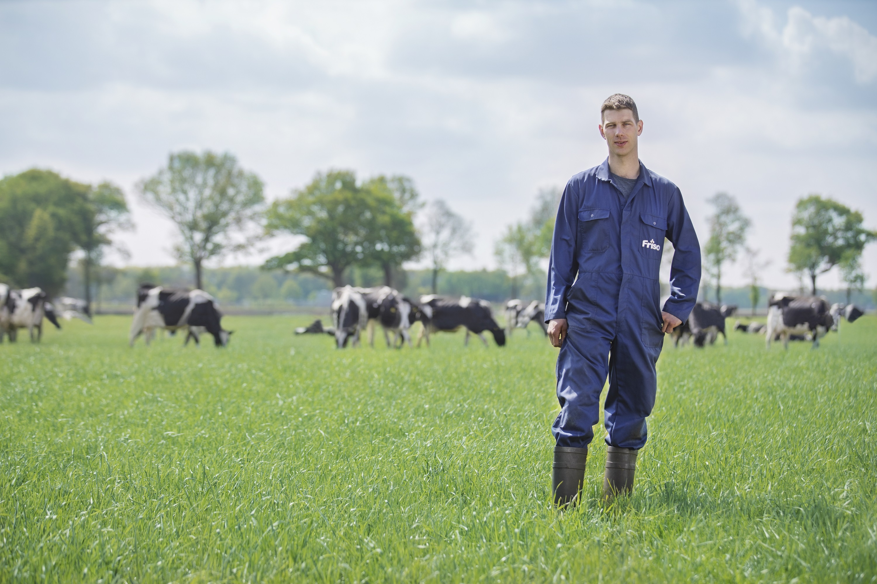 Friso,  trang trai Friso anh 4