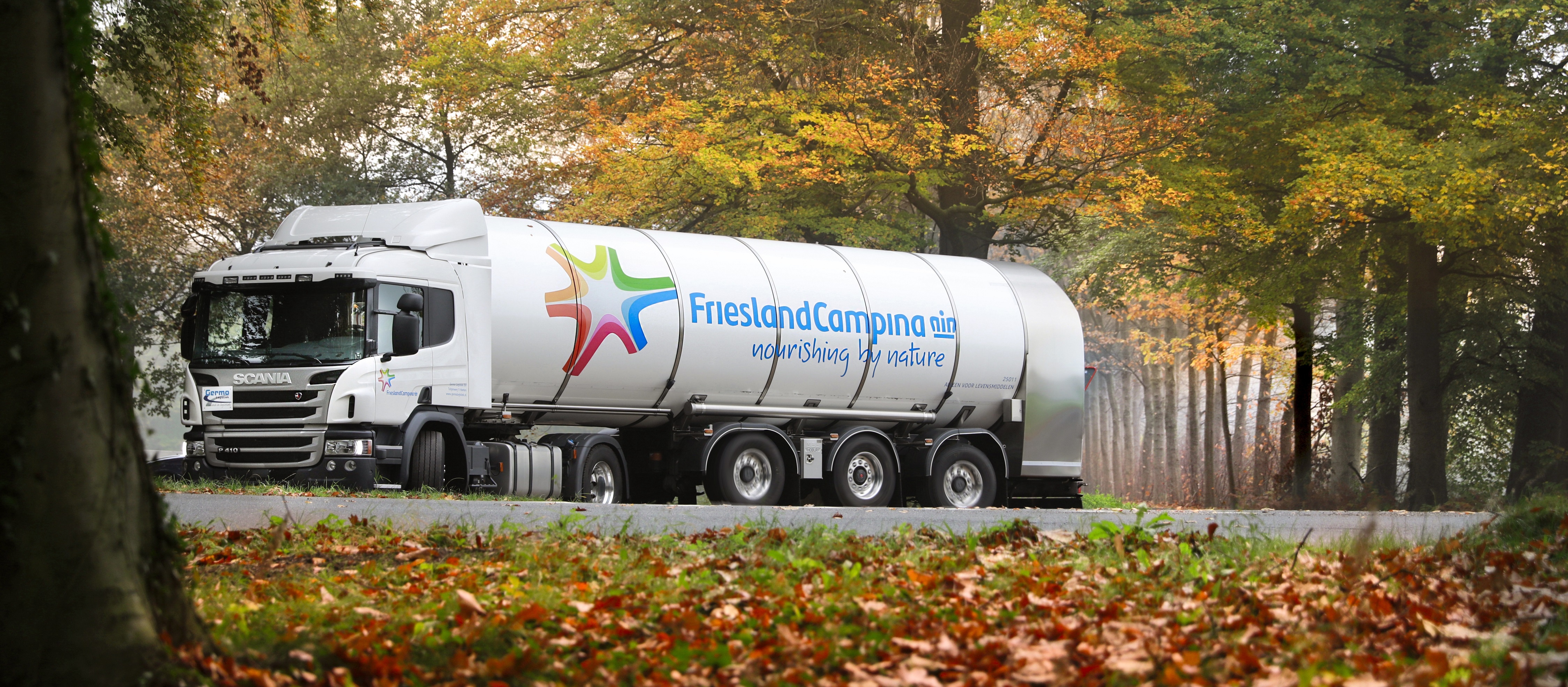 Friso,  trang trai Friso anh 13