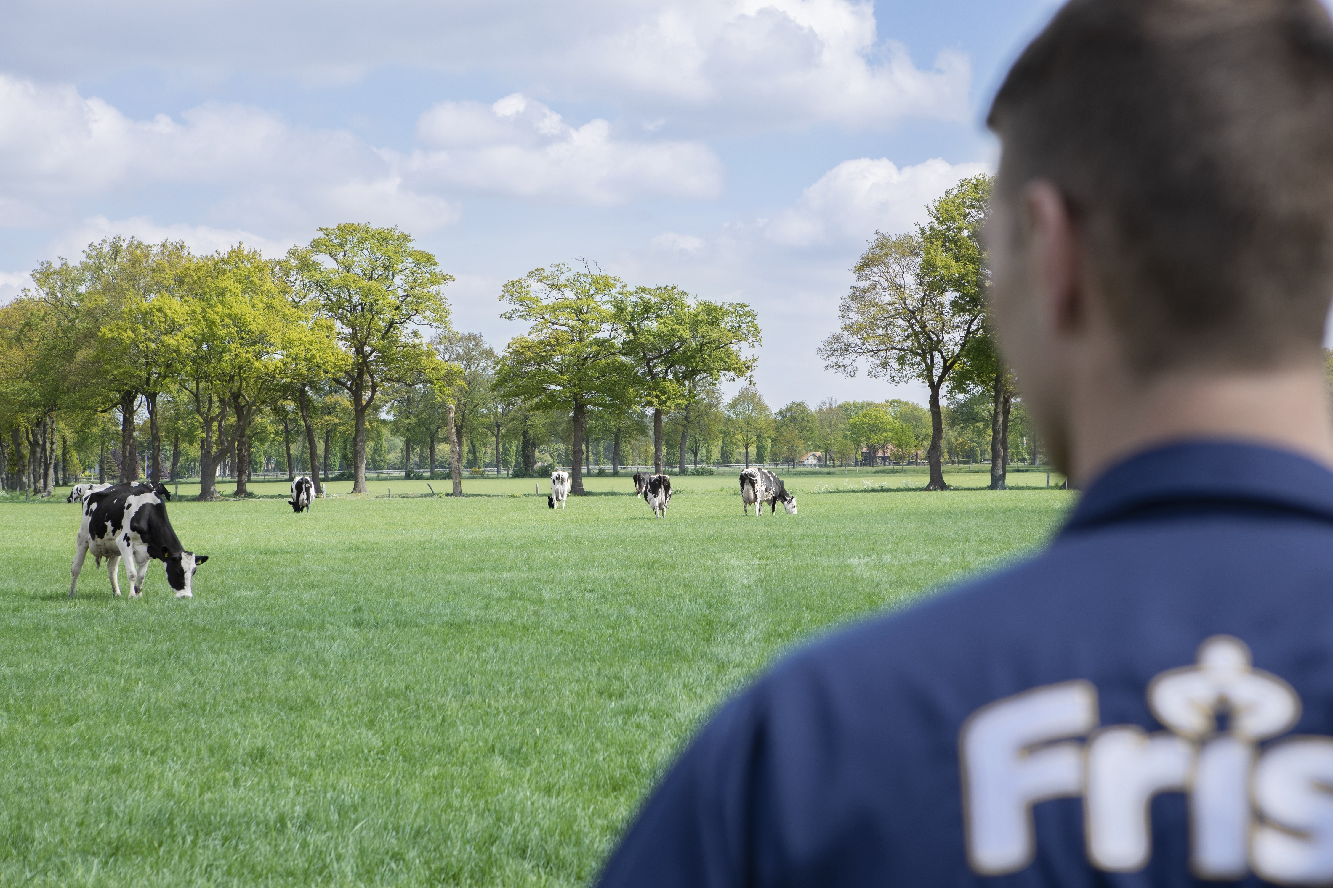 Friso,  trang trai Friso anh 18