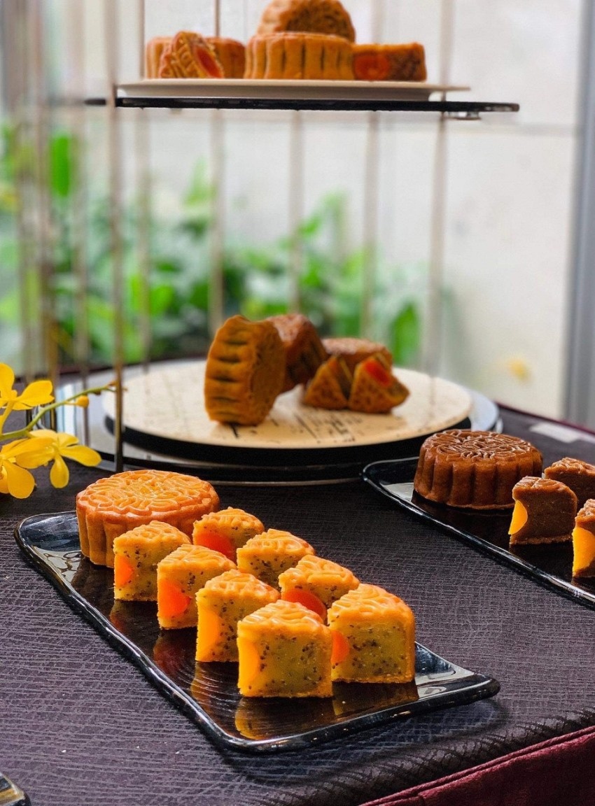 Mãnh long cát vượng ảnh 8 Manh long cat vuong anh 8