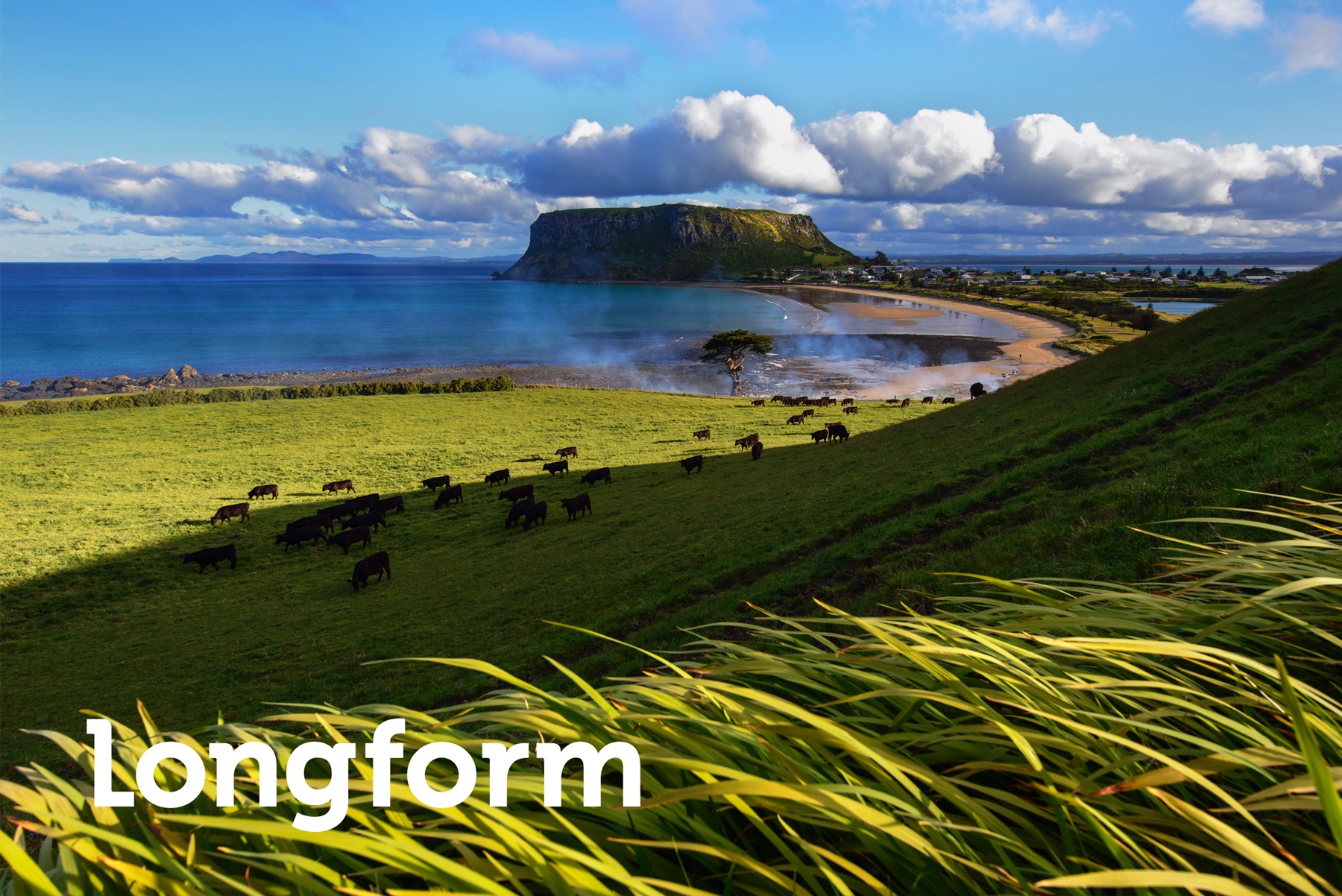 Tasmania - dao 'thien duong' tren mat dat hinh anh