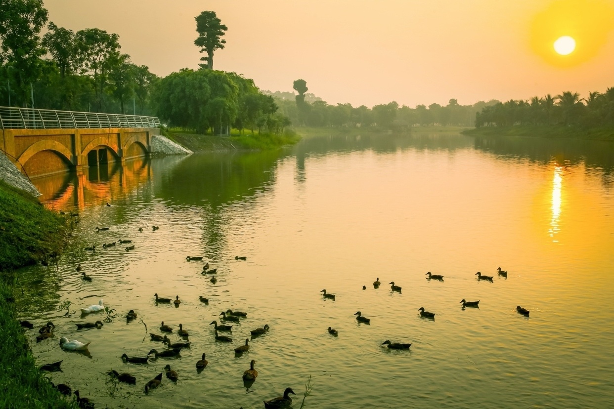 Khu do thi co thien nga, vit troi di lai tu do hinh anh