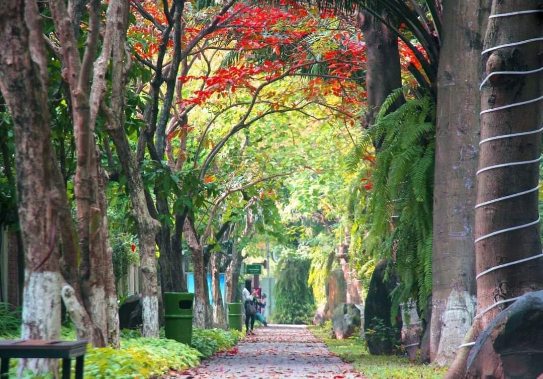 Ecopark,  do thi xanh anh 5