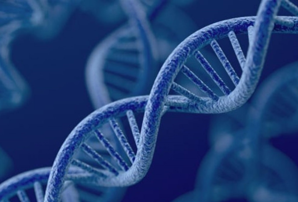 Vai tro cua gene voi suc khoe con nguoi hinh anh