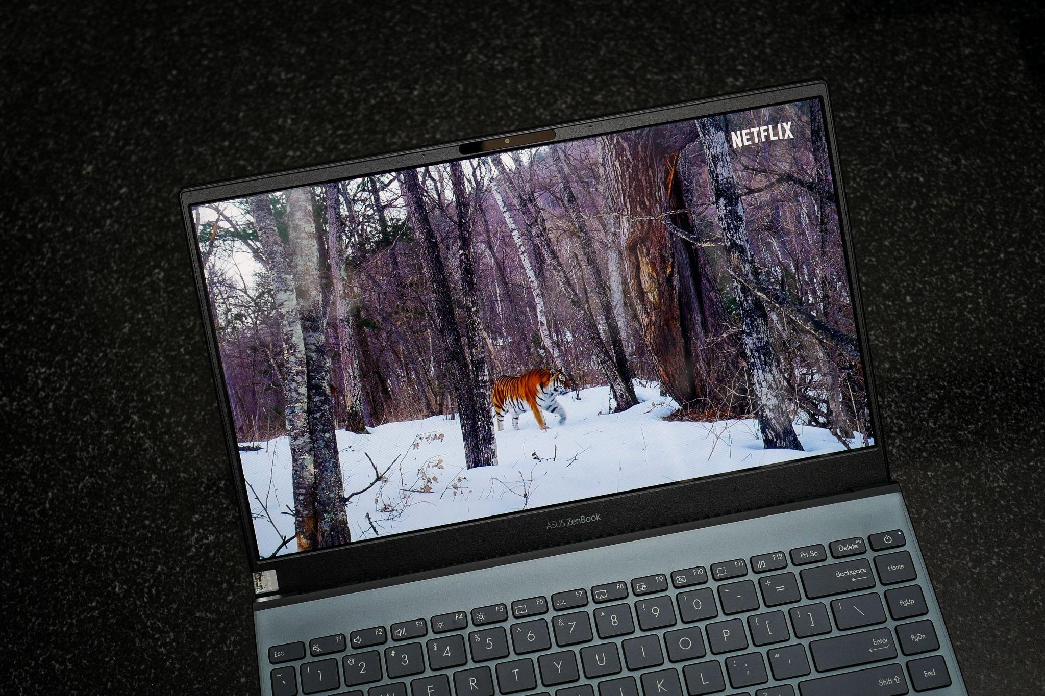 Asus,  ZenBook UX325 anh 8