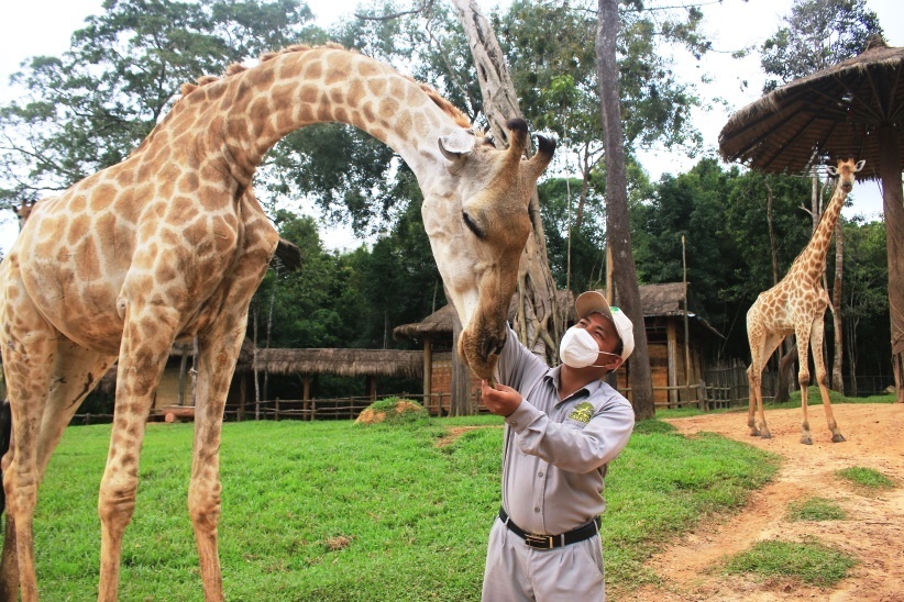 Vinpearl Safari Phu Quoc,  Vingroup anh 1
