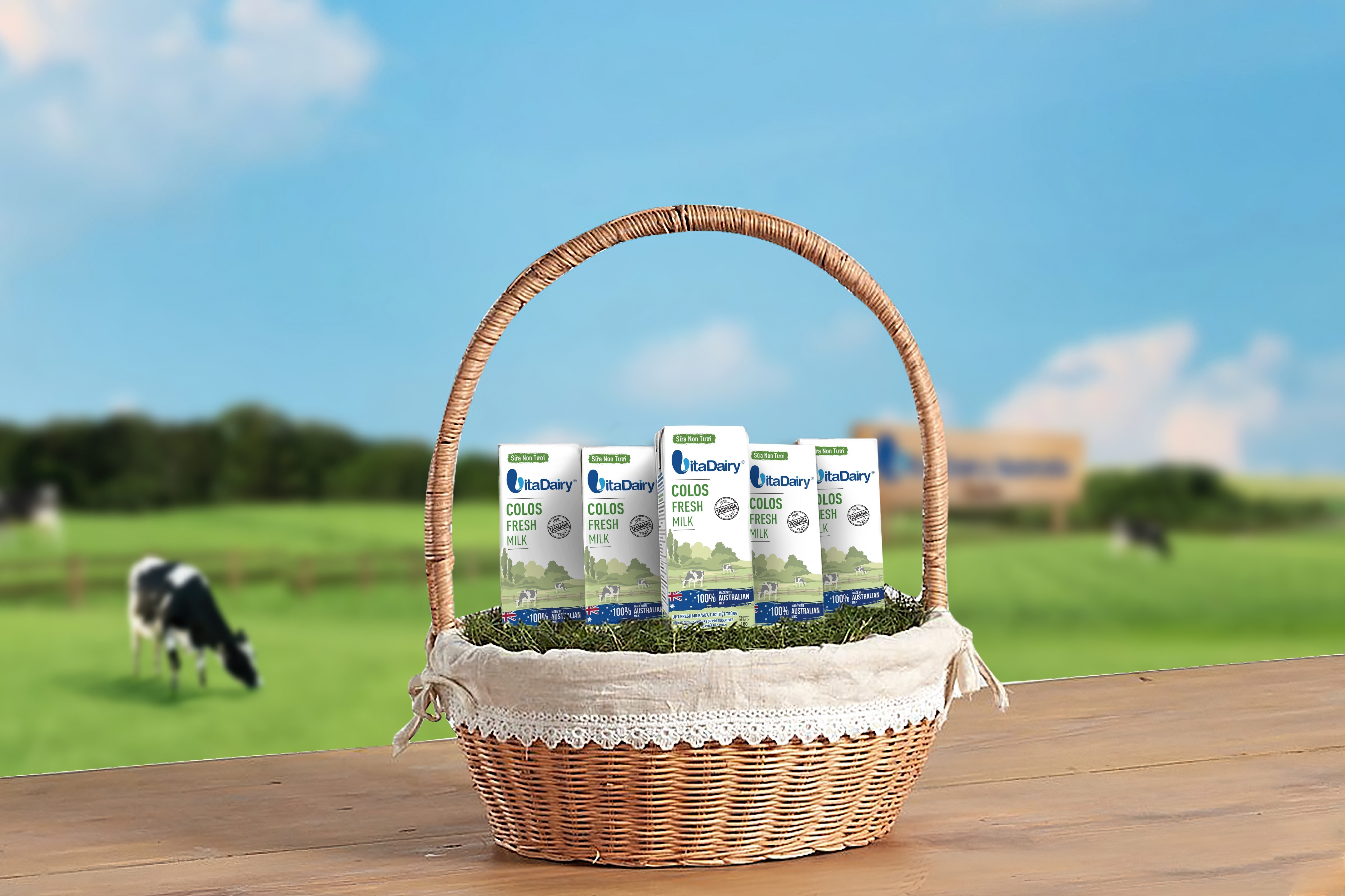 VitaDairy Colos Fresh Milk anh 5