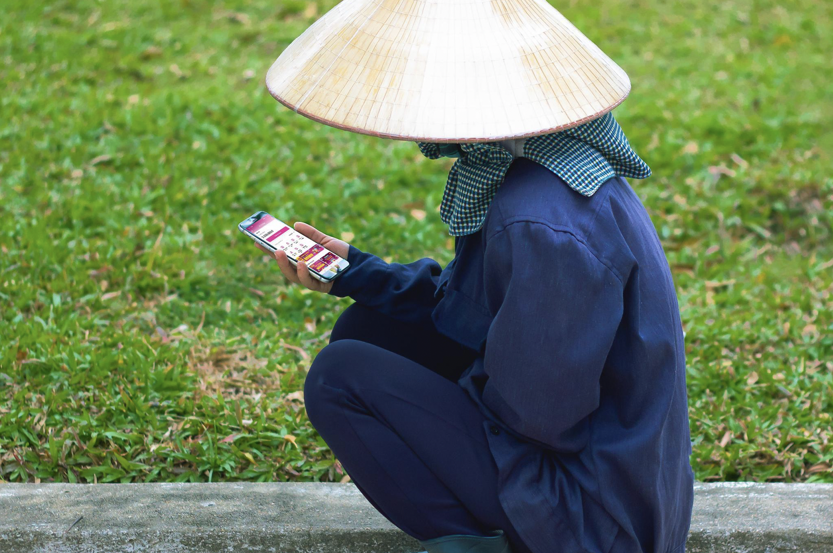 Vi tra sau,  MoMo anh 1