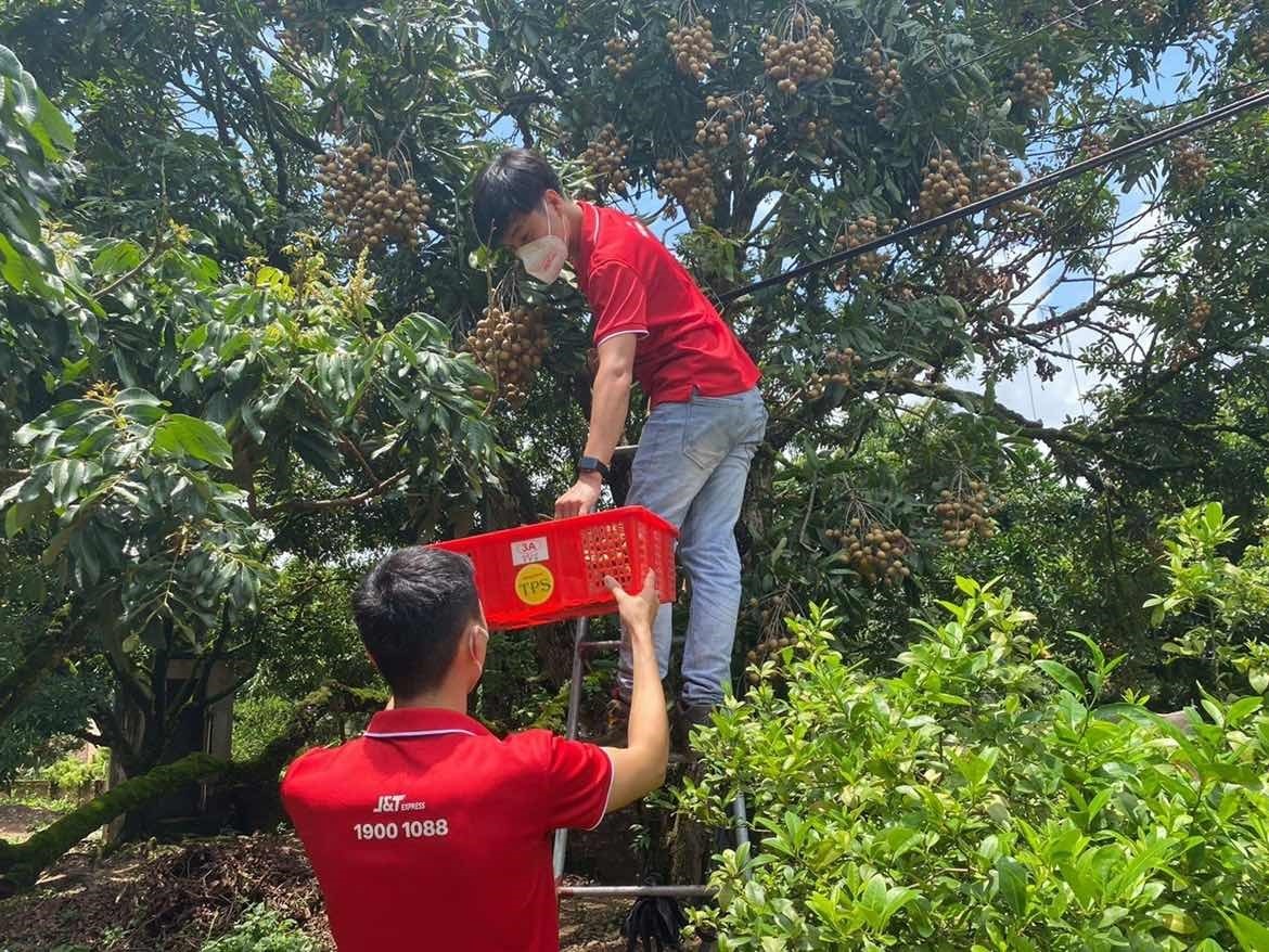 J&T Express ảnh 3 J&T Express anh 3