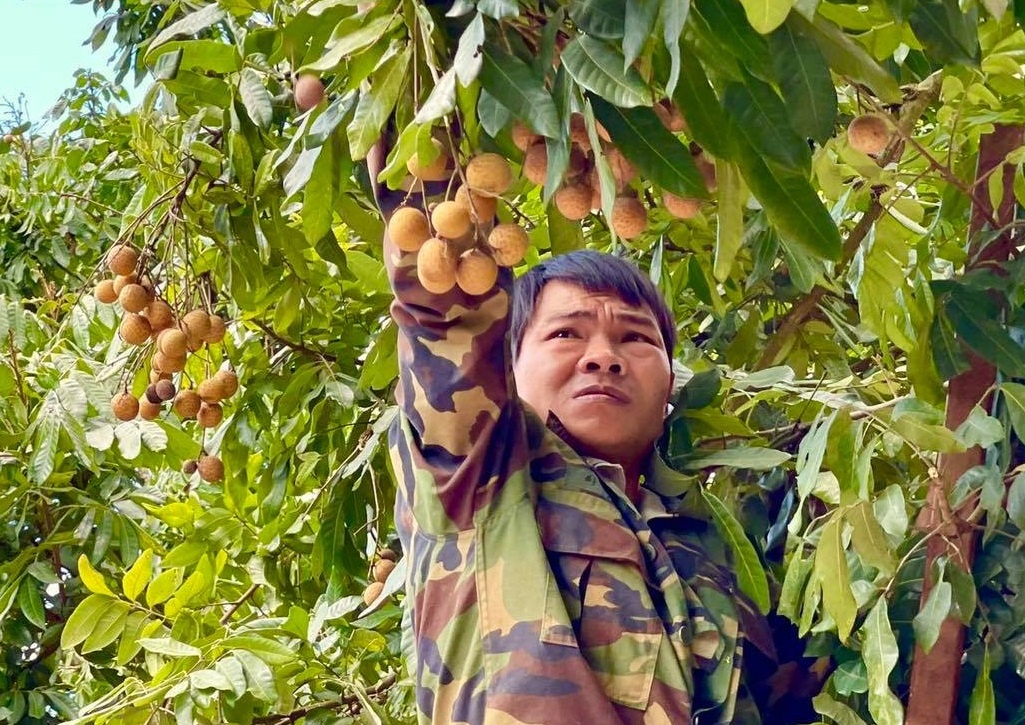 Doi moi tu duy lam nong nghiep tai tinh Son La hinh anh