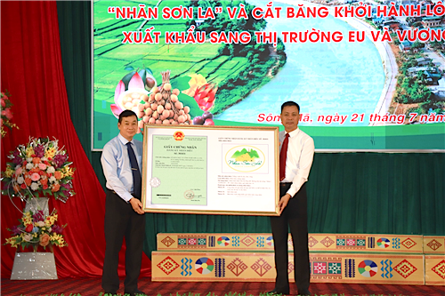 Tinh Son La,  Mia Fruit anh 1