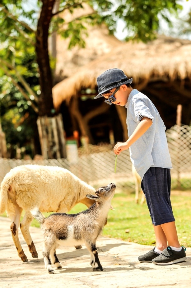 Vingroup,  Vinpearl Safari anh 6