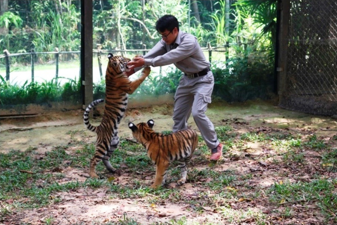 Vingroup,  Vinpearl Safari anh 8