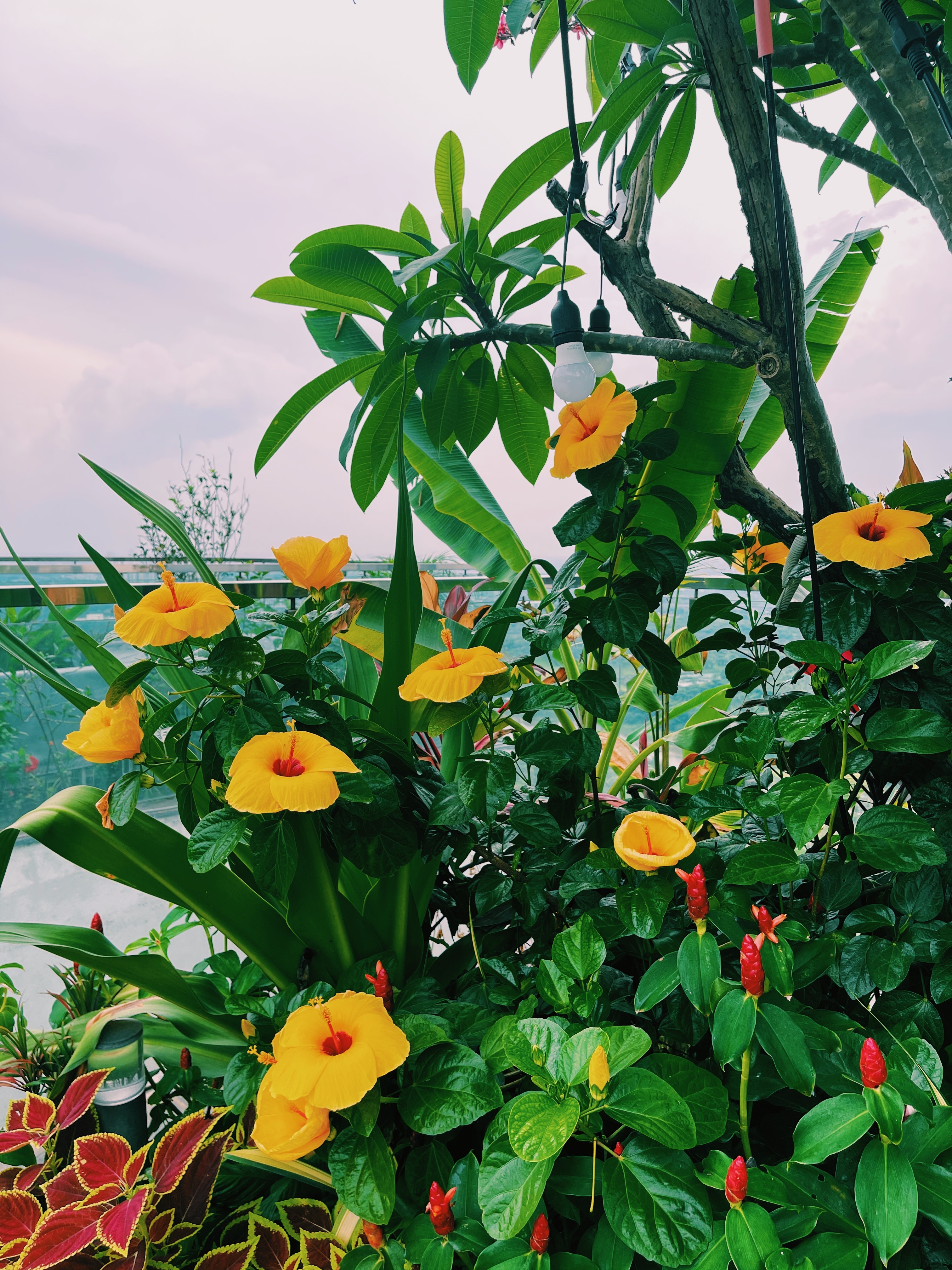 khu đô thị ảnh 5 khu do thi anh 5