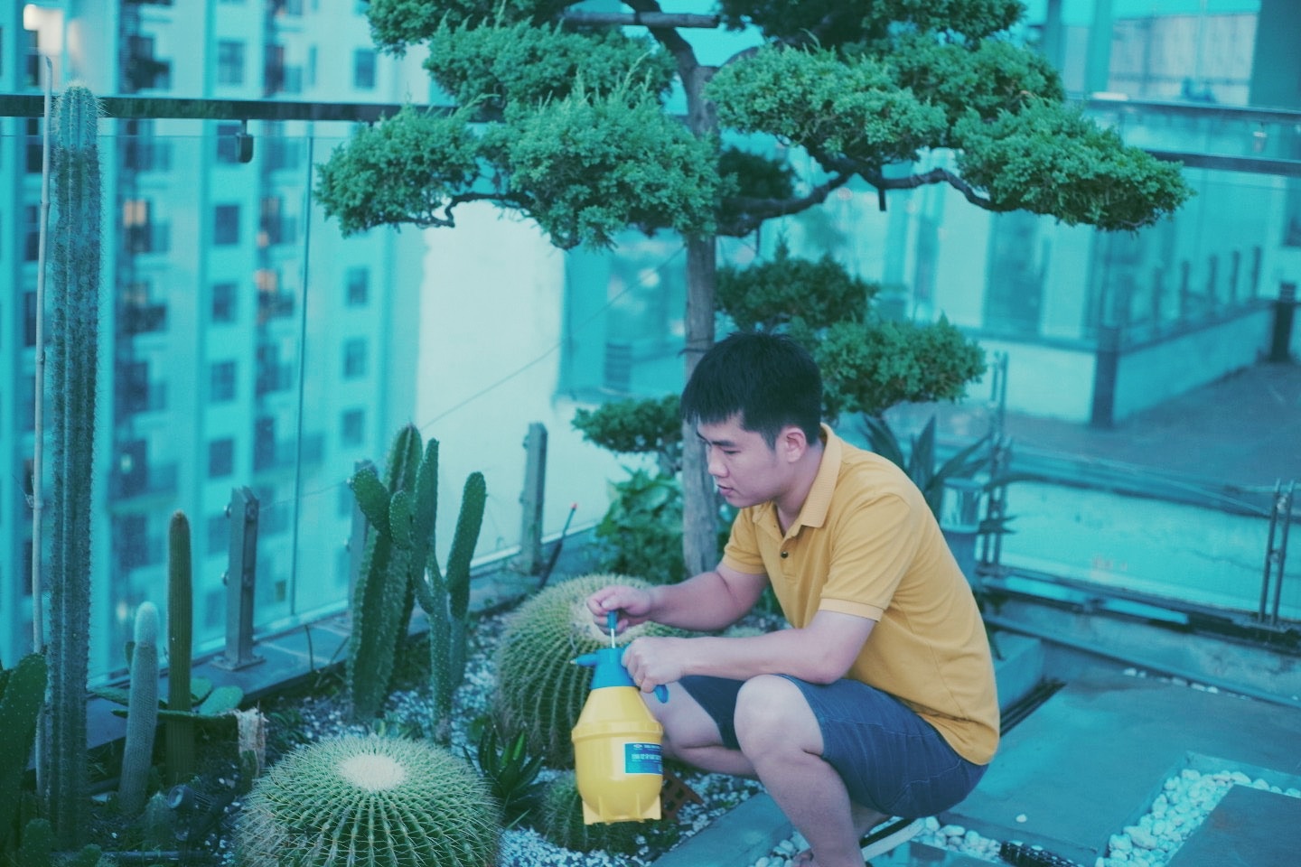 Giam doc nghi huu tuoi 30, ve trong cay nuoi ca giua long Ecopark hinh anh