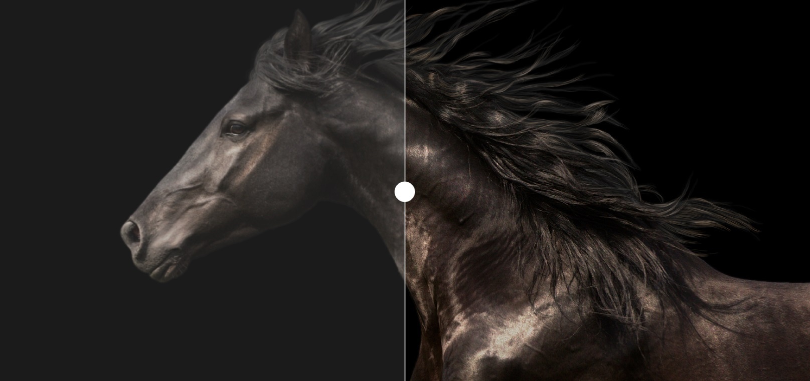 Asus,  laptop OLED anh 5