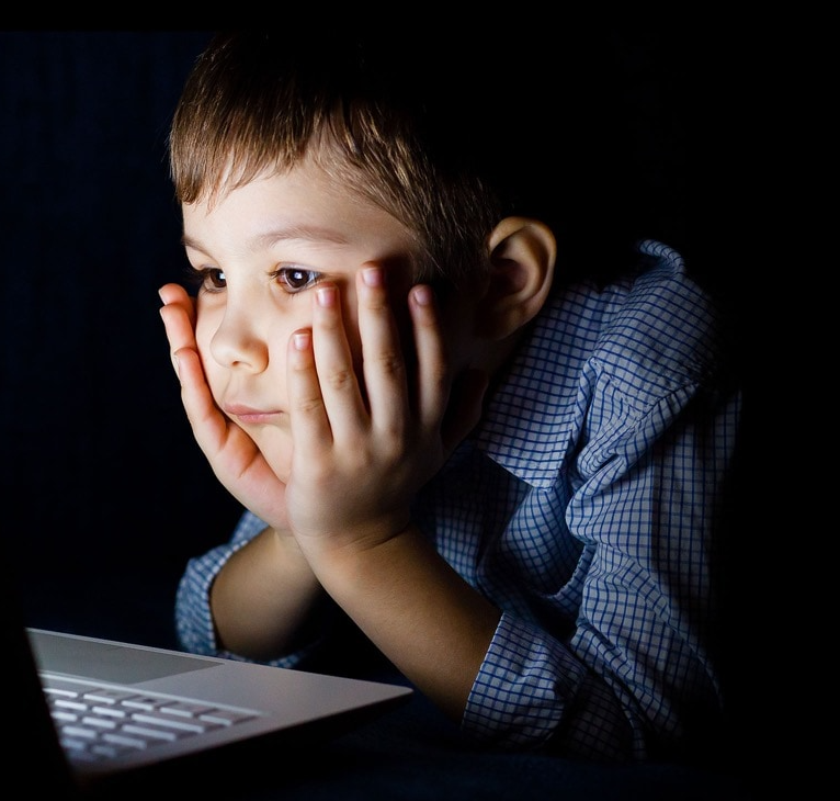 Asus,  laptop OLED anh 2