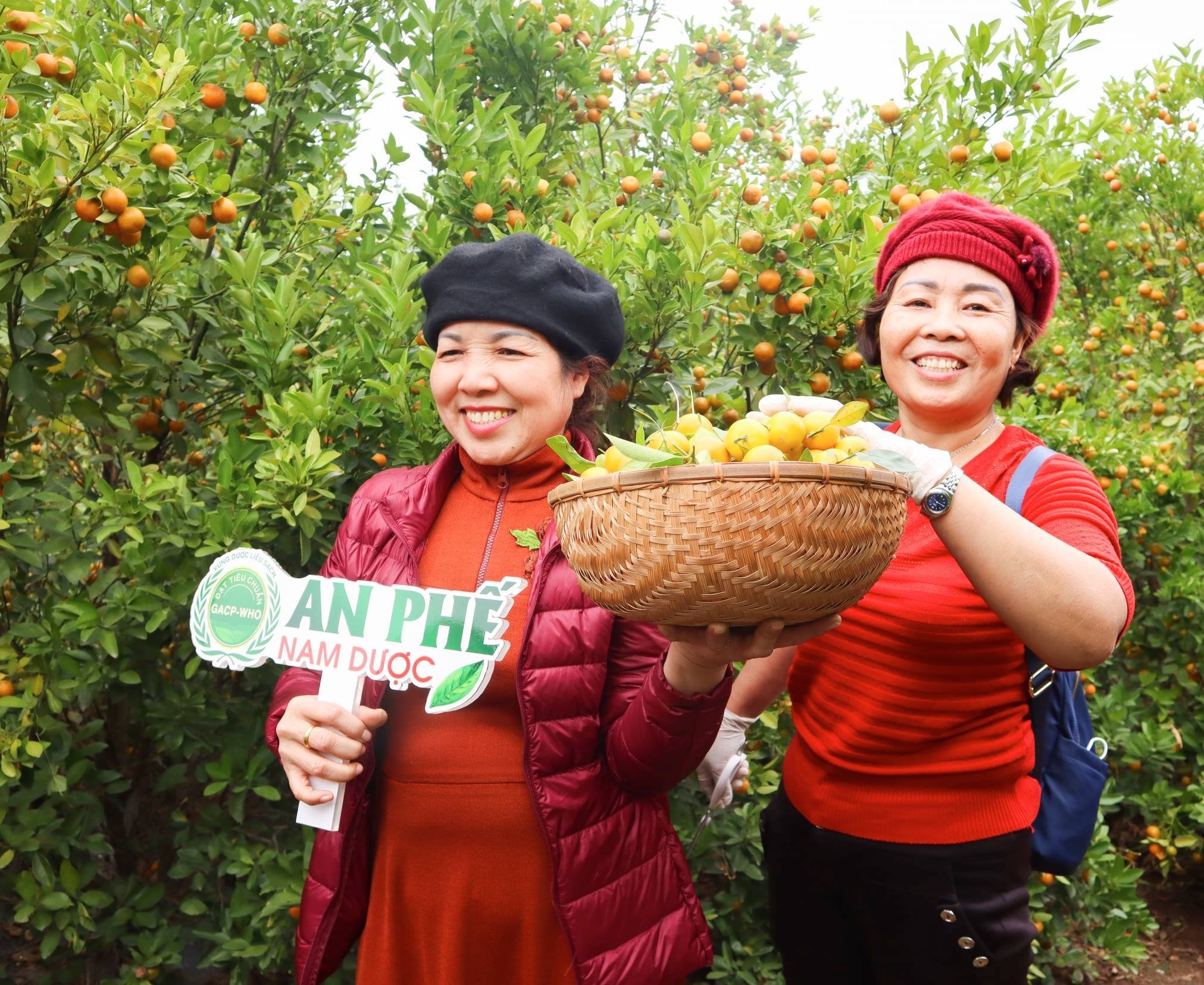 thuoc ho cho nguoi lon anh 3
