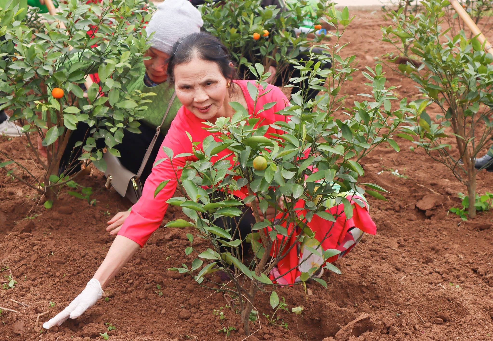 thuoc ho cho nguoi lon anh 2