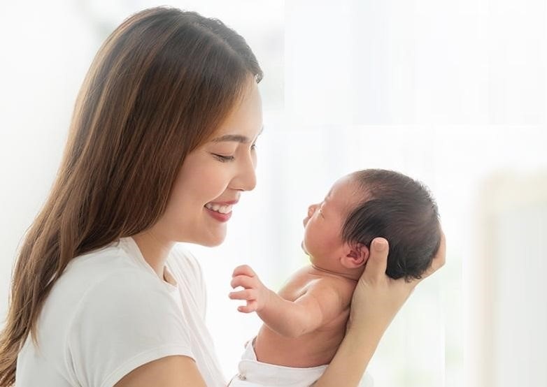 Dau tram, khuynh diep co loi ich gi? hinh anh