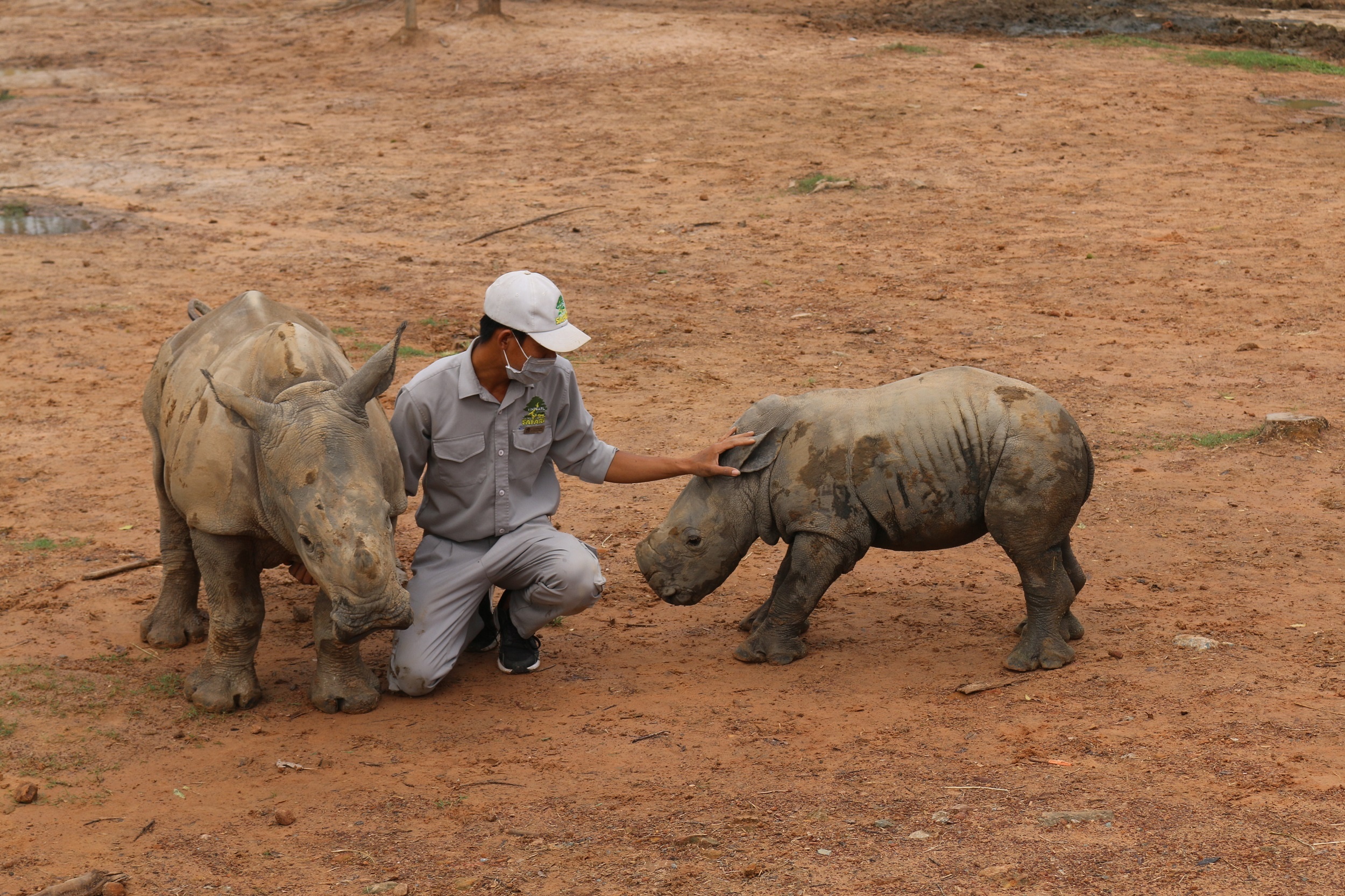Vinpearl Safari Phú Quốc ảnh 5 Vinpearl Safari Phu Quoc anh 5