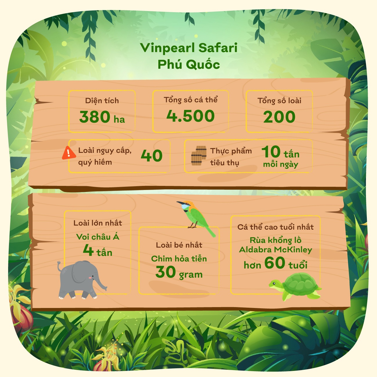 Vinpearl Safari Phú Quốc ảnh 3 Vinpearl Safari Phu Quoc anh 3
