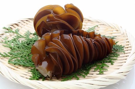 Hoạt chất fucoidan, rong nâu ảnh 3 Hoat chat fucoidan, rong nau anh 3