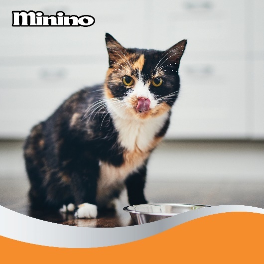 Minino,  thuc an cho meo anh 1