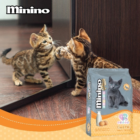 Minino,  thuc an cho meo anh 2