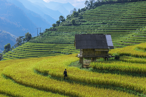 Sun World Fansipan Legend anh 3