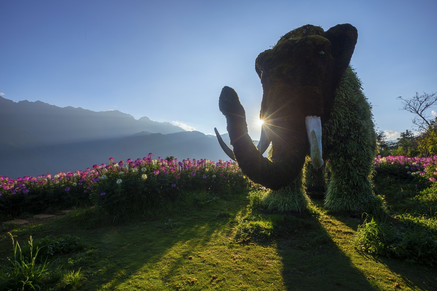 Sun World Fansipan Legend anh 8