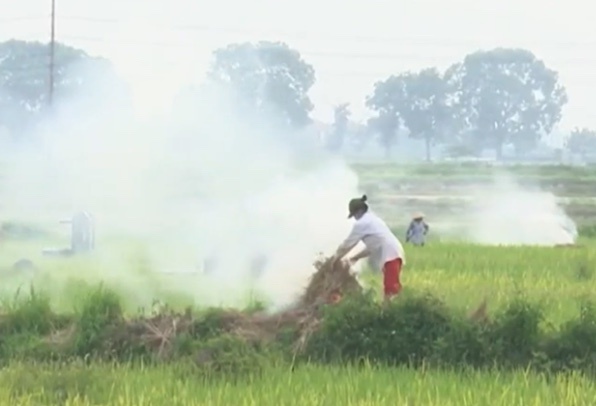 Cach tan dung hieu qua nguon nang luong sinh khoi hinh anh