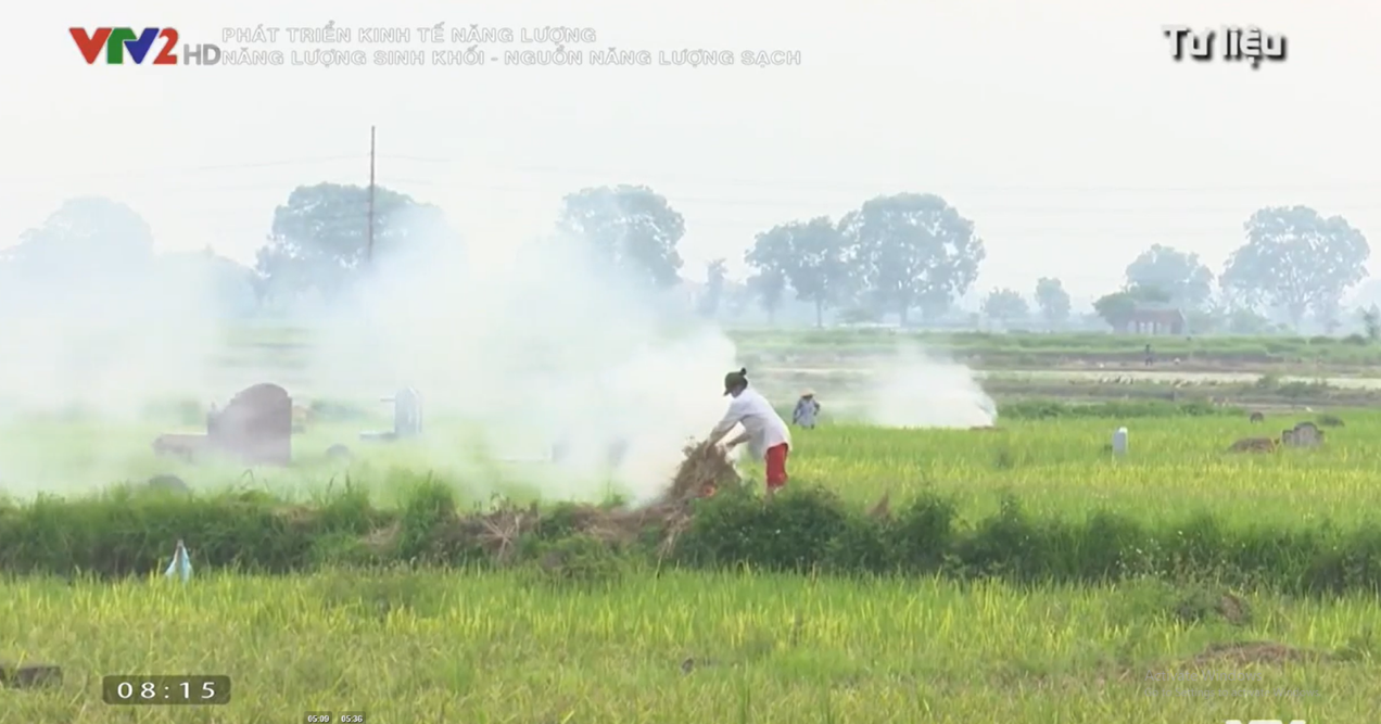 PVOIL,  nang luong sinh khoi anh 1